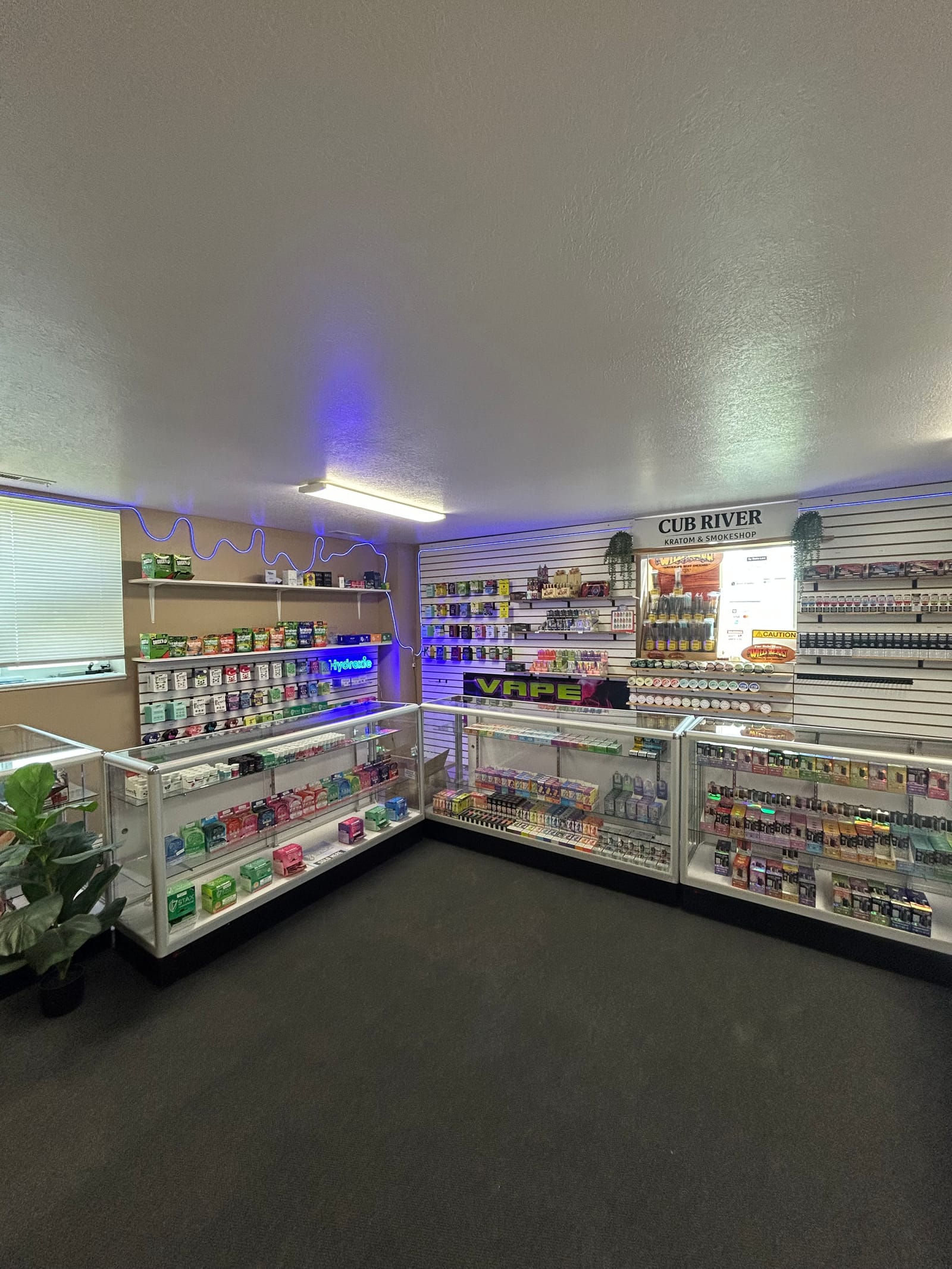 Inside Cub River Kratom & Smoke Shop: neon VAPE sign, glass display cases, and stocked product wall